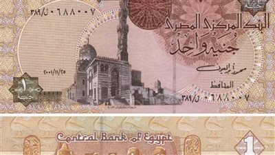 الجنيه المصري 