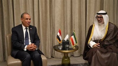 وزيرا خارجية مصر والكويت يؤكدان أهمية احترام سيادة الدول ومبادئ حسن الجوار