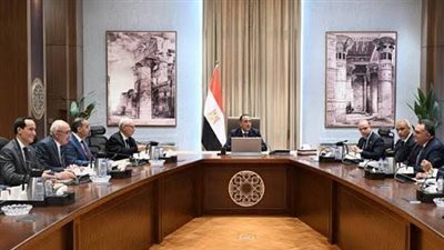 مجلس الوزراء يستعرض جهود تعزيز التنمية الصناعية بالصعيد لجذب الاستثمارات الأجنبية