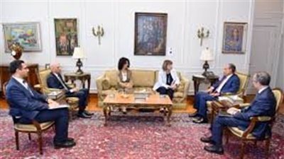 وزير الخارجية يستقبل المنسق المقيم للأمم المتحدة فى مصر