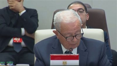 مصر تطالب بإصلاح مجلس الأمن وفقا لمتطلبات الدول الإفريقية