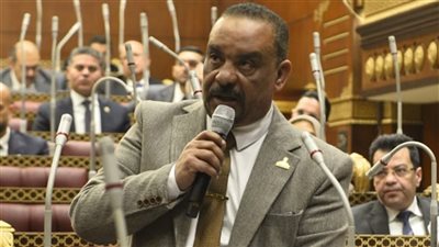 النائب أحمد حافظ