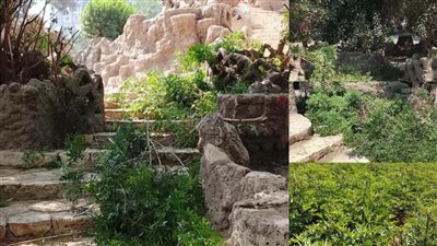 وزارة الزراعة: جميع الأشجار والنباتات بحديقة الأسماك بحالة جيدة