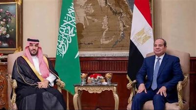 رئاسة الجمهورية: أي تهديد لوحدة السودان خطر على الأمن الجماعي لمصر والسعودية