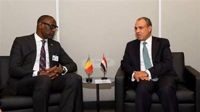 وزير الخارجية يلتقى نظيره المالى لبحث سبل تعزيز العلاقات الثنائية