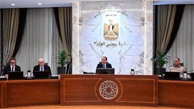 الحكومة: الاقتصاد المصرى أثبت صلابة استثنائية فى مواجهة مختلف التحديات
