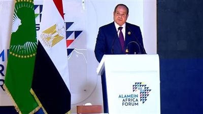 الرئيس عبد الفتاح السيسي