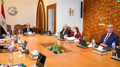 وزير الخارجية يجتمع مع مجلس إدارة الوكالة المصرية للشراكة من أجل التنمية