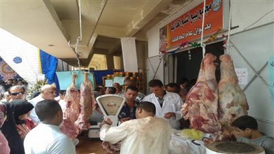 بالفيديو.. أسعار اللحوم في الأسواق قبل عيد الأضحى