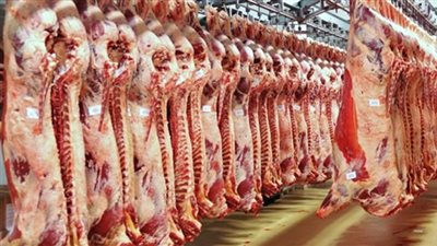 افتتاح معرض للحوم والسلع الغذائية بمدينة نصر