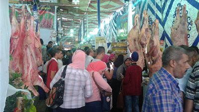 بالصور.. فعاليات معرض اللحوم والسلع الغذائية بمدينة نصر