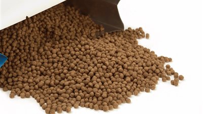 ضبط 249 طن أعلاف أسماك بدون بيانات بالمنيا