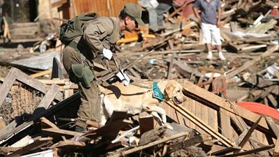 الصين تؤكد عزمها مساعدة تشيلي في إعادة البناء بعد الزلزال