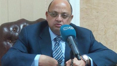 محلل سياسي: على الأحزاب تجهيز برامج تساعد في بناء الدولة