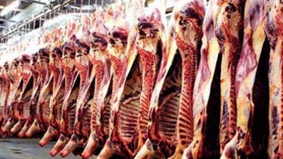 ننشر نصائح تموين الجيزة قبل شراء الأضحية