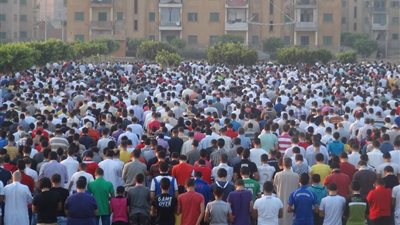 ننشر استعدادات مديرية الأوقاف بالجيزة لعيد الأضحى