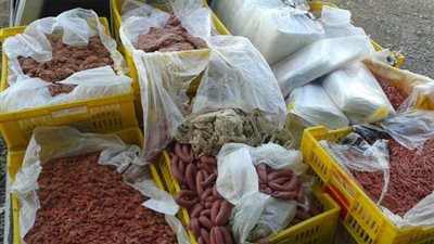 ضبط كمية من اللحوم منتهية الصلاحية بالمنوفية