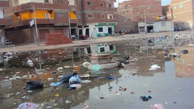 مرشح الوفد بـ