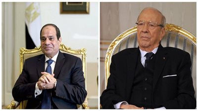 اليوم.. السيسي يلتقي نظيره التونسي