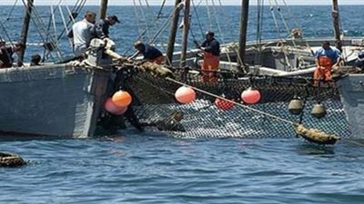 السلطات السودانية تفرج عن الصيادين المصريين