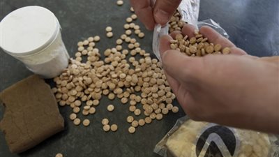 ضبط مليون ونص قرص منشط جنسي بالمحافظات