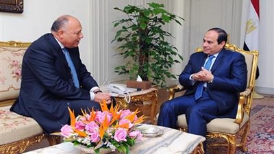 الرئيس يبحث مع وزير الخارجية نتائج زيارته لنيويورك.. السيسي يوجه بتيسير إجراءات تصويت المصريين بالخارج في الانتخابات