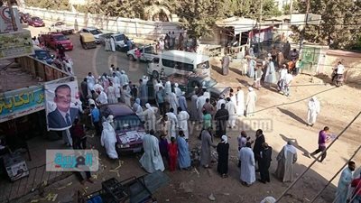 بالصور.. أعضاء 