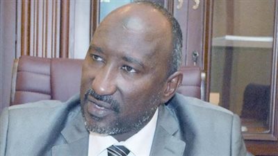 عودة 40 ألف أسرة من النازحين إلى قراهم الأصلية بشمال دارفور